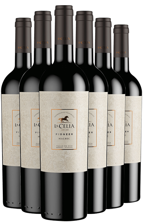 שישיית פינקה לה סליה פיוניר מלבק